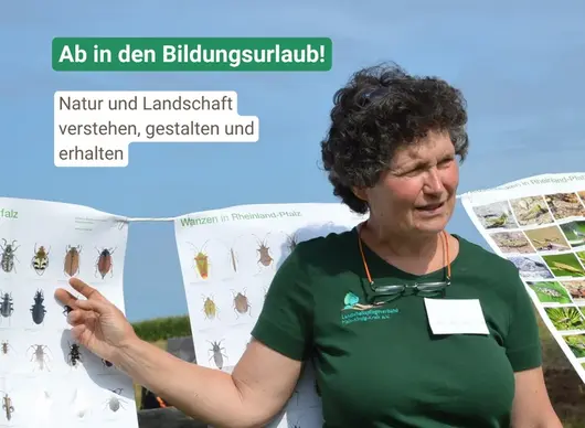 Landschaftspflegende erklärt an Wäscheleine aufgehängte Kennarten-Poster