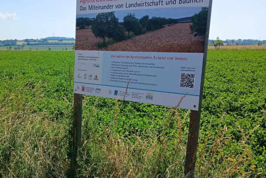 Hinweistafel vor Agroforstfläche