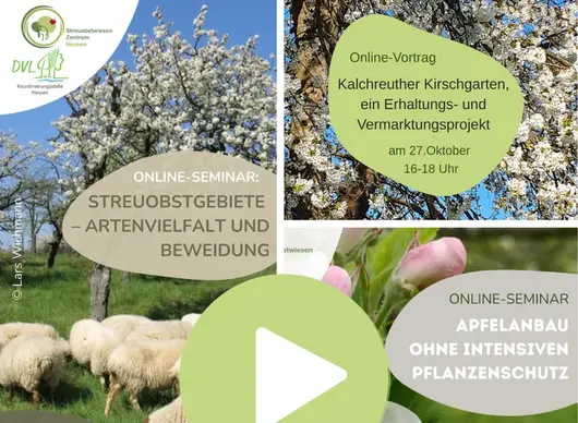 [Fotos: Collage der Streuobstwiesen-Vortragsreihe 2025. © Andreas Baumann, Lars Wichmann, Monika Riepl, DVL Hessen]