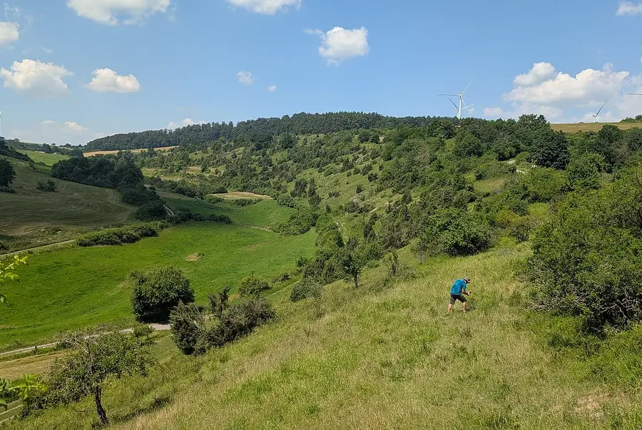 Landschaft