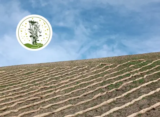 © Heinrich Meusel / Dr. Sarah Harvolk-Schöning