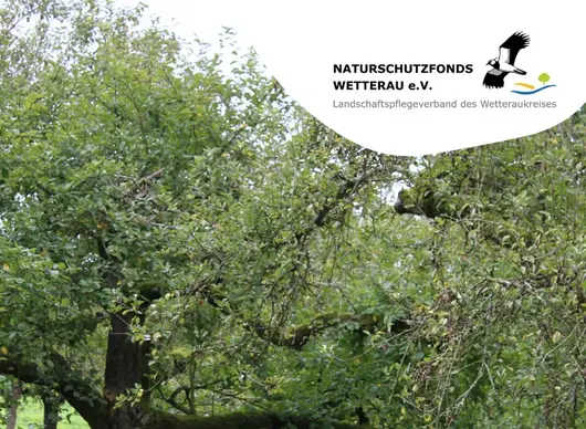 Streuobstwiese mit Textoverlay