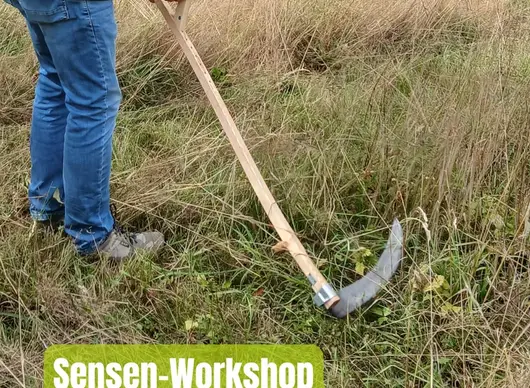 Sense auf Wiese
