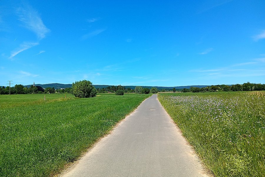 Links artenarmes Grünland, rechts eine Ausgleichsfläche