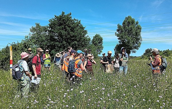 Die Exkursionsteilnehmenden im Blütenmeer