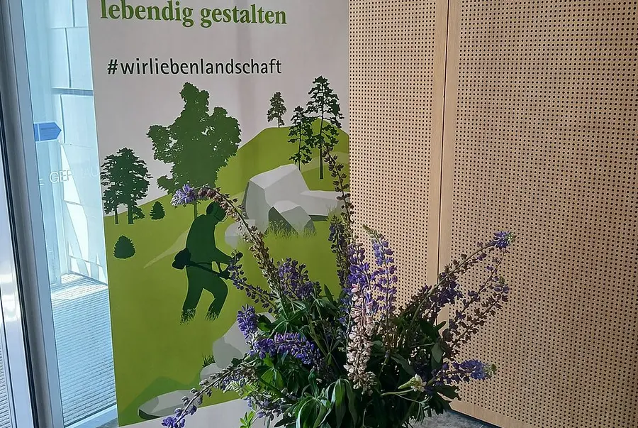 Lupinen-Vase vor Rollup