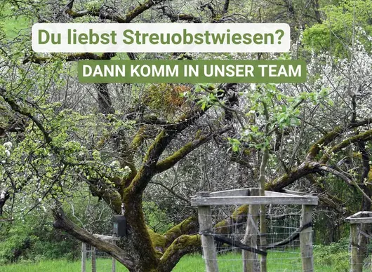 Streuobstwiese