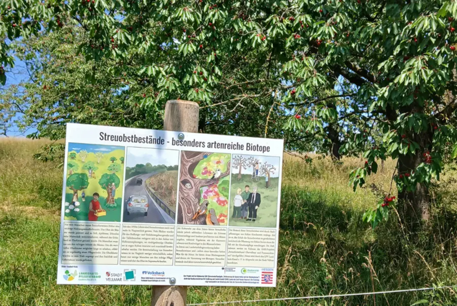 Streuobstwiese mit Hinweistafel