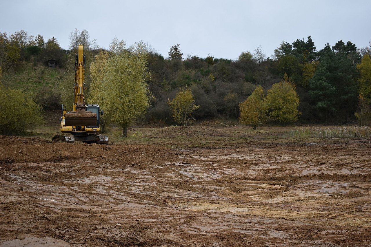 Bagger baggert ein Biotop 